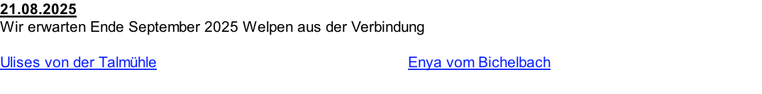 21.08.2025  Wir erwarten Ende September 2025 Welpen aus der Verbindung  Ulises von der Talmühle                                                           Enya vom Bichelbach