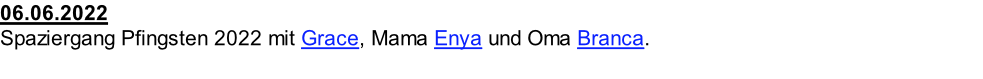06.06.2022  Spaziergang Pfingsten 2022 mit Grace, Mama Enya und Oma Branca.